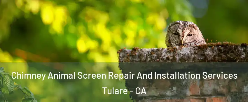  Chimney Animal Screen Repair And Installation Services Tulare - CA