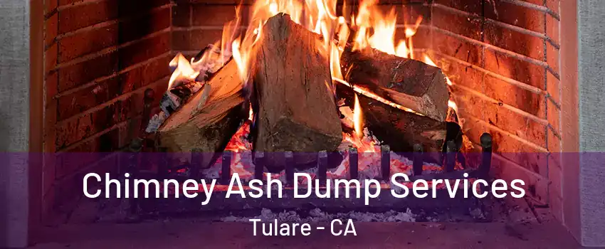  Chimney Ash Dump Services Tulare - CA