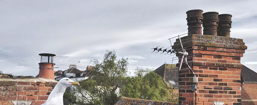 Chimney Cleaning And Restoration in Tulare, California